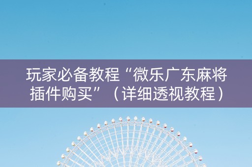 玩家必备教程“微乐广东麻将插件购买”（详细透视教程）-哔哩哔哩