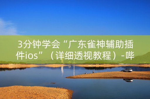3分钟学会“广东雀神辅助插件ios”（详细透视教程）-哔哩哔哩