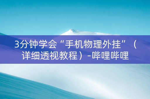 3分钟学会“手机物理外挂”（详细透视教程）-哔哩哔哩