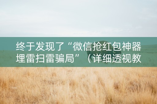 终于发现了“微信抢红包神器埋雷扫雷骗局”（详细透视教程）-哔哩哔哩