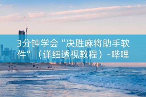 3分钟学会“决胜麻将助手软件”（详细透视教程）-哔哩哔哩