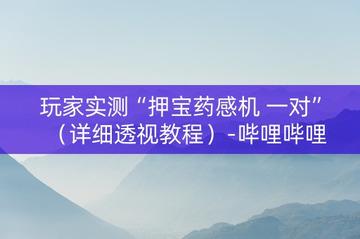 玩家实测“押宝药感机 一对”（详细透视教程）-哔哩哔哩