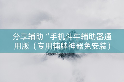 分享辅助“手机斗牛辅助器通用版（专用辅牌神器免安装）