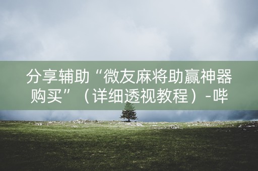 分享辅助“微友麻将助赢神器购买”（详细透视教程）-哔哩哔哩