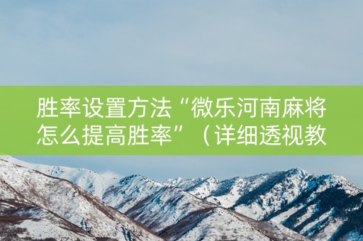胜率设置方法“微乐河南麻将怎么提高胜率”（详细透视教程）-哔哩哔哩