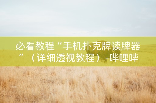 必看教程“手机扑克牌读牌器”（详细透视教程）-哔哩哔哩