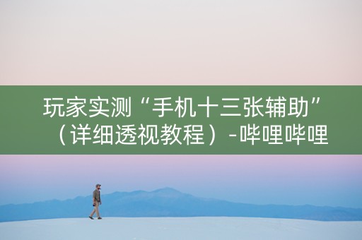 玩家实测“手机十三张辅助”（详细透视教程）-哔哩哔哩