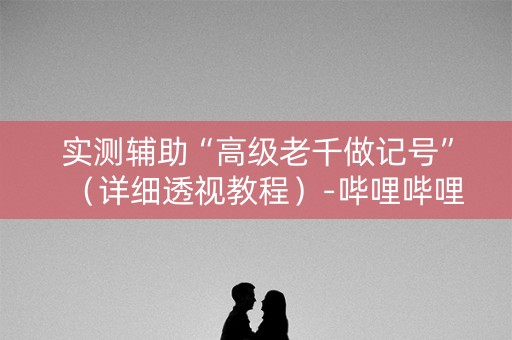 实测辅助“高级老千做记号”（详细透视教程）-哔哩哔哩