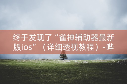 终于发现了“雀神辅助器最新版ios”（详细透视教程）-哔哩哔哩