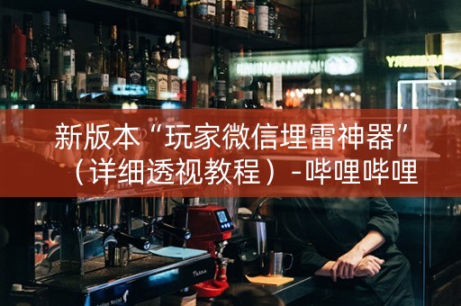 新版本“玩家微信埋雷神器”（详细透视教程）-哔哩哔哩