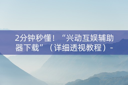 2分钟秒懂！“兴动互娱辅助器下载”（详细透视教程）-哔哩哔哩