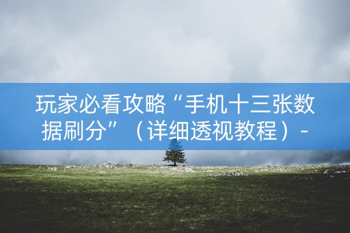 玩家必看攻略“手机十三张数据刷分”（详细透视教程）-哔哩哔哩