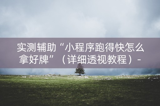 实测辅助“小程序跑得快怎么拿好牌”（详细透视教程）-哔哩哔哩
