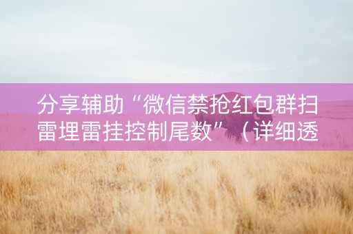 分享辅助“微信禁抢红包群扫雷埋雷挂控制尾数”（详细透视教程）-哔哩哔哩