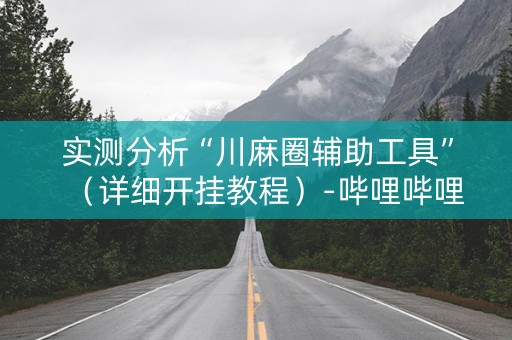 实测分析“川麻圈辅助工具”（详细开挂教程）-哔哩哔哩