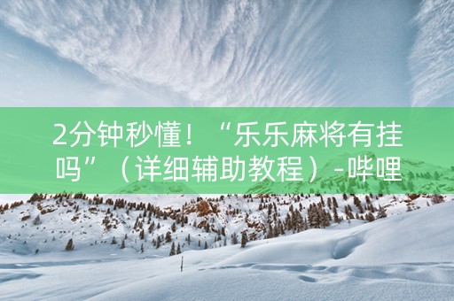 2分钟秒懂！“乐乐麻将有挂吗”（详细辅助教程）-哔哩哔哩