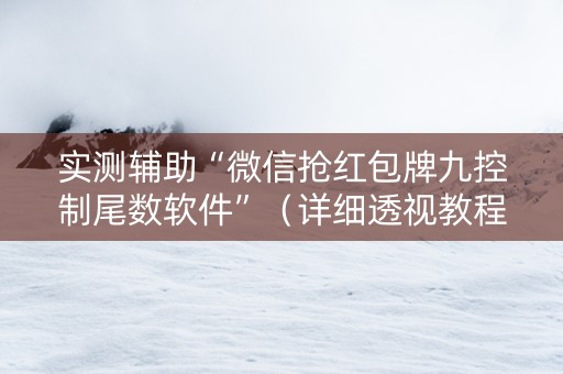 实测辅助“微信抢红包牌九控制尾数软件”（详细透视教程）-哔哩哔哩