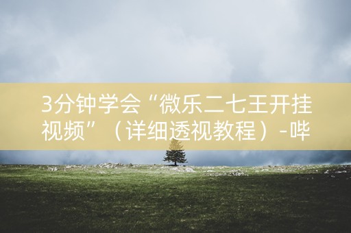 3分钟学会“微乐二七王开挂视频”（详细透视教程）-哔哩哔哩