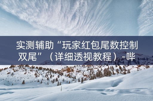 实测辅助“玩家红包尾数控制双尾”（详细透视教程）-哔哩哔哩