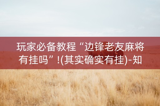 玩家必备教程“边锋老友麻将有挂吗”!(其实确实有挂)-知乎