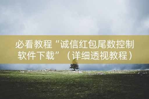 必看教程“诚信红包尾数控制软件下载”（详细透视教程）-哔哩哔哩