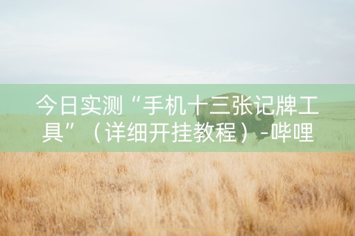 今日实测“手机十三张记牌工具”（详细开挂教程）-哔哩哔哩