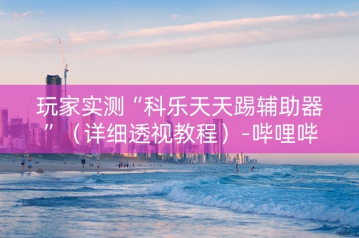 玩家实测“科乐天天踢辅助器”（详细透视教程）-哔哩哔哩