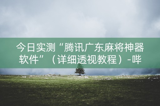 今日实测“腾讯广东麻将神器软件”（详细透视教程）-哔哩哔哩