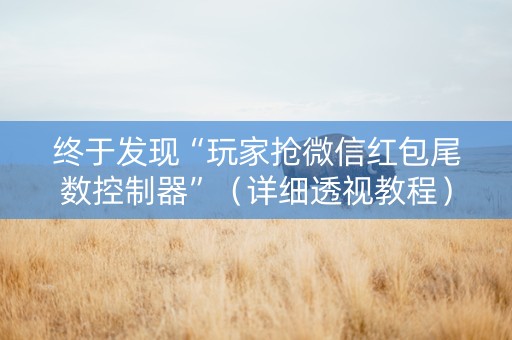 终于发现“玩家抢微信红包尾数控制器”（详细透视教程）-哔哩哔哩