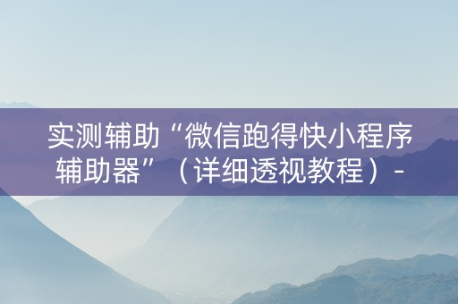 实测辅助“微信跑得快小程序辅助器”（详细透视教程）-哔哩哔哩