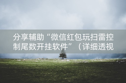 分享辅助“微信红包玩扫雷控制尾数开挂软件”（详细透视教程）-哔哩哔哩