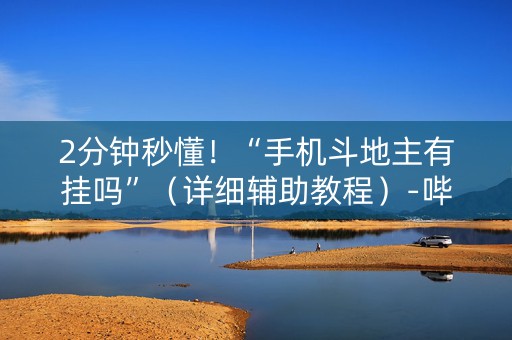 2分钟秒懂！“手机斗地主有挂吗”（详细辅助教程）-哔哩哔哩