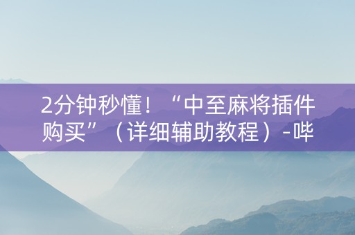 2分钟秒懂！“中至麻将插件购买”（详细辅助教程）-哔哩哔哩