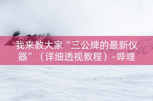 我来教大家“三公牌的最新仪器”（详细透视教程）-哔哩哔哩