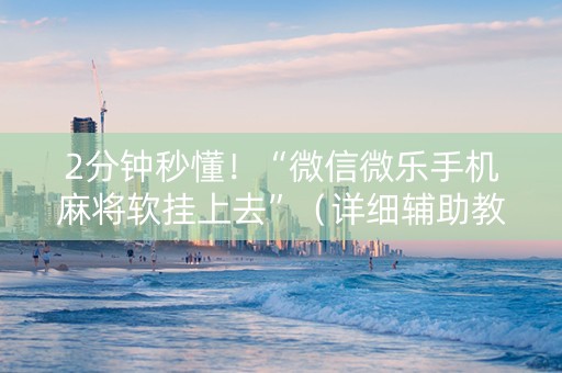 2分钟秒懂！“微信微乐手机麻将软挂上去”（详细辅助教程）-哔哩哔哩