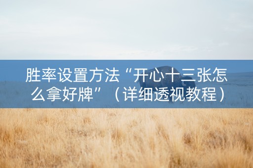 胜率设置方法“开心十三张怎么拿好牌”（详细透视教程）-哔哩哔哩