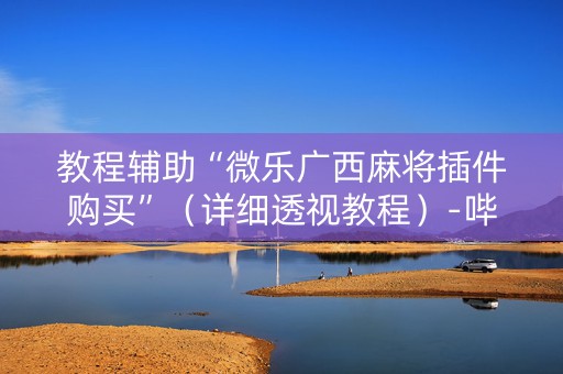 教程辅助“微乐广西麻将插件购买”（详细透视教程）-哔哩哔哩