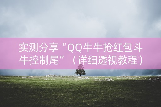 实测分享“QQ牛牛抢红包斗牛控制尾”（详细透视教程）-哔哩哔哩