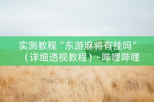 实测教程“东游麻将有挂吗”（详细透视教程）-哔哩哔哩
