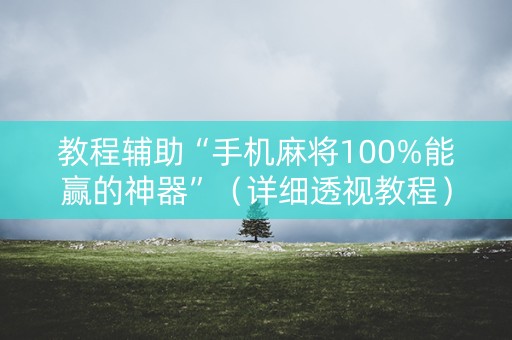 教程辅助“手机麻将100%能赢的神器”（详细透视教程）-哔哩哔哩