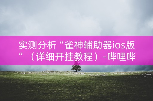 实测分析“雀神辅助器ios版”（详细开挂教程）-哔哩哔哩