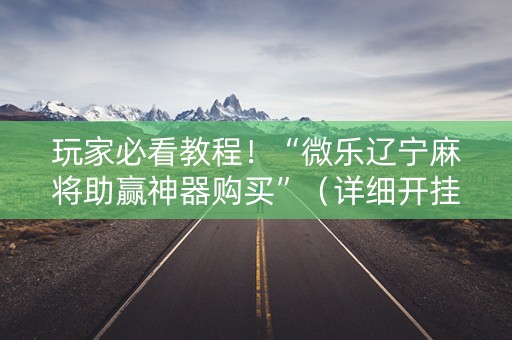 玩家必看教程！“微乐辽宁麻将助赢神器购买”（详细开挂教程）-哔哩哔哩