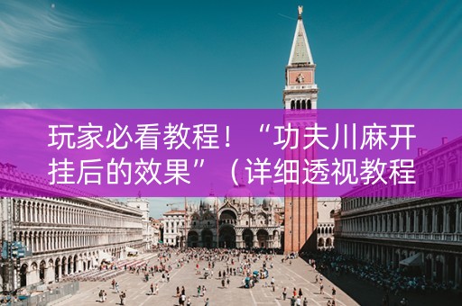 玩家必看教程！“功夫川麻开挂后的效果”（详细透视教程）-哔哩哔哩