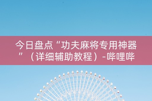今日盘点“功夫麻将专用神器”（详细辅助教程）-哔哩哔哩