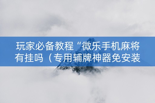 玩家必备教程“微乐手机麻将有挂吗（专用辅牌神器免安装）