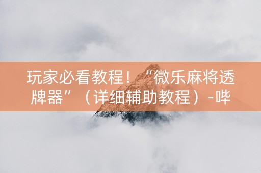 玩家必看教程！“微乐麻将透牌器”（详细辅助教程）-哔哩哔哩