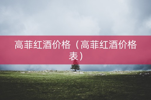 高菲红酒价格（高菲红酒价格表）