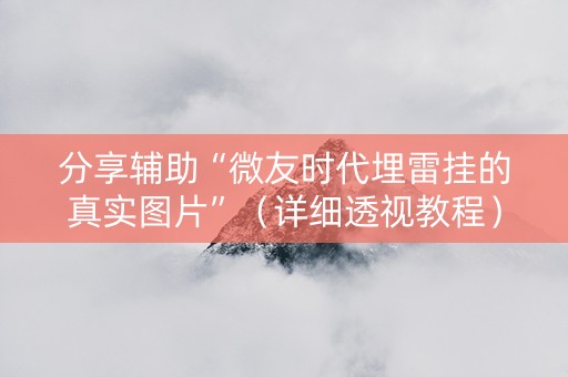 分享辅助“微友时代埋雷挂的真实图片”（详细透视教程）-哔哩哔哩
