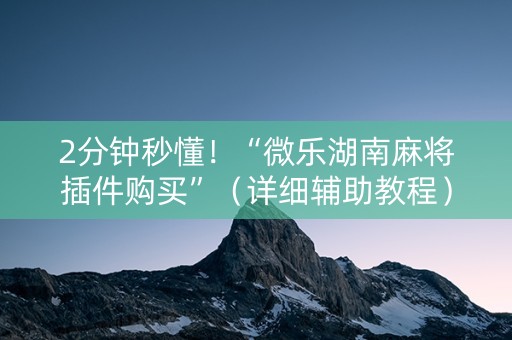 2分钟秒懂！“微乐湖南麻将插件购买”（详细辅助教程）-哔哩哔哩