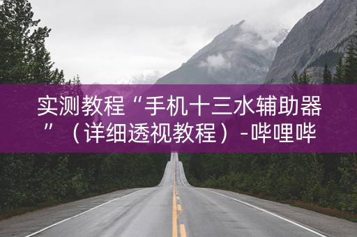 实测教程“手机十三水辅助器”（详细透视教程）-哔哩哔哩